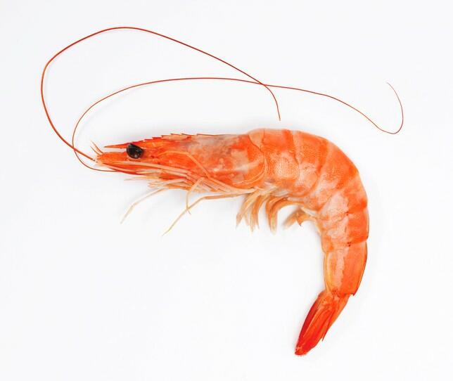 1LB Whole Shrimp