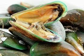 0.5LB Green Mussel