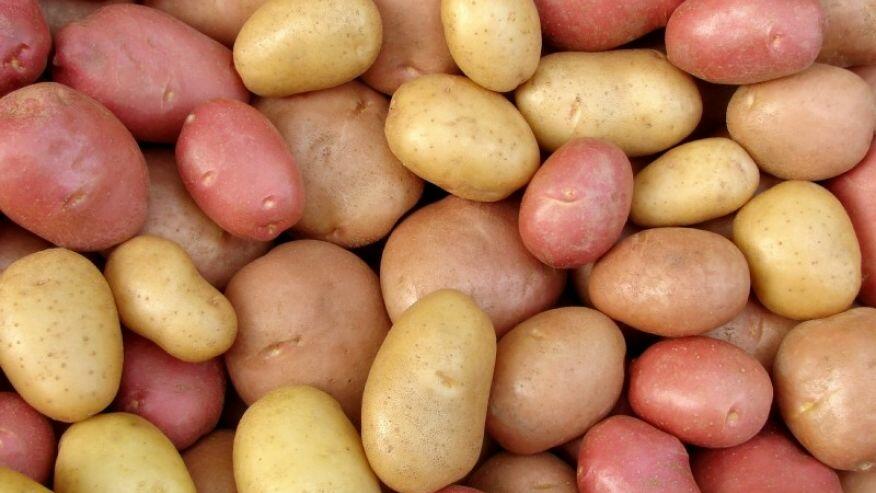 Potatoes(3)